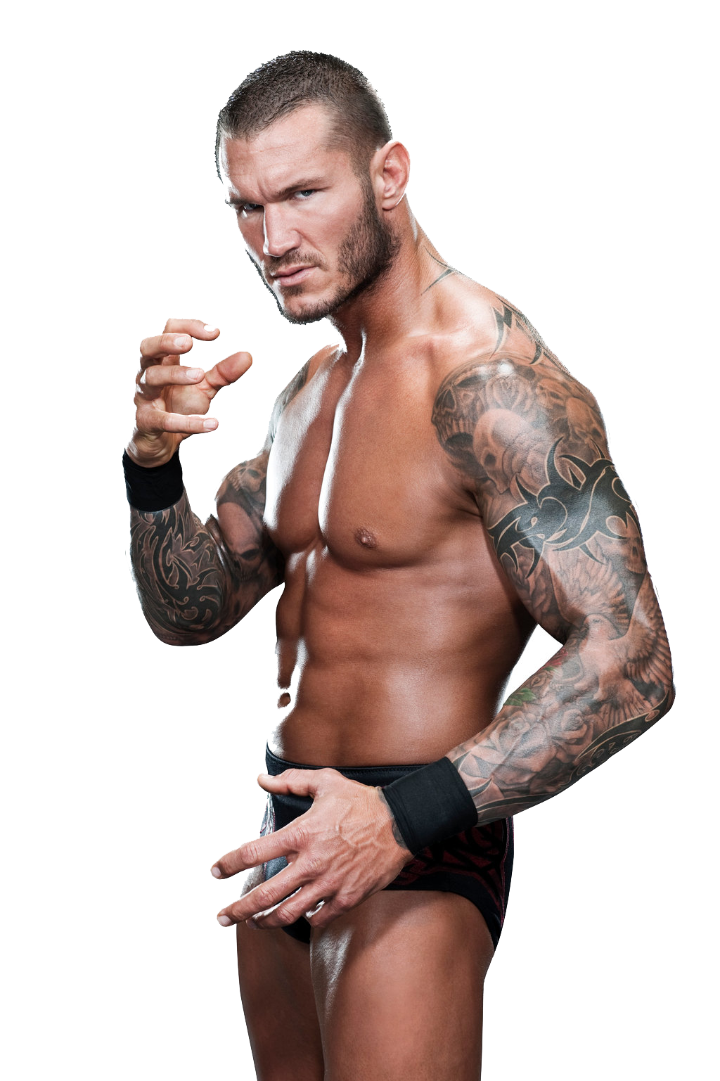 Randy Orton Png File PNG Image