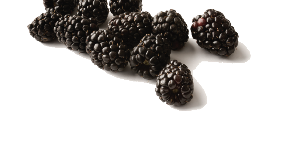 Black Raspberries Free Download PNG Image