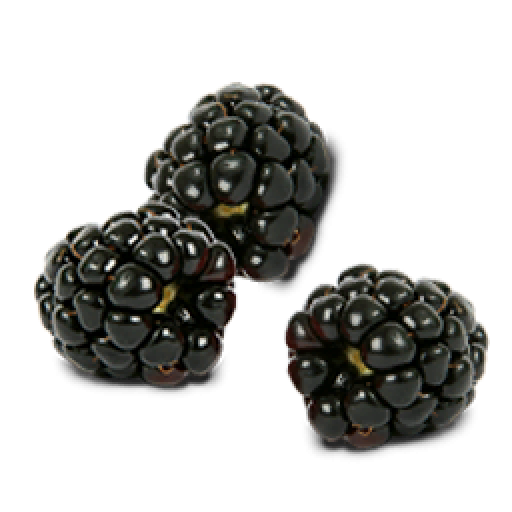 Black Raspberries PNG Image
