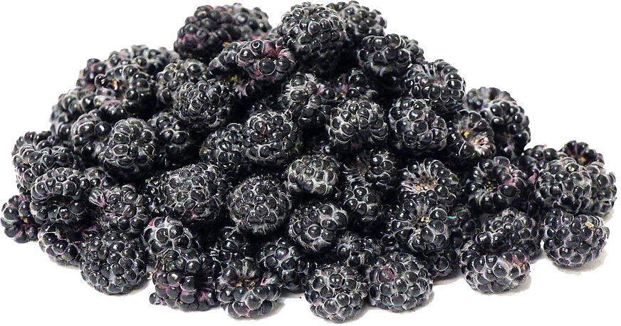 Black Raspberries Transparent Image PNG Image