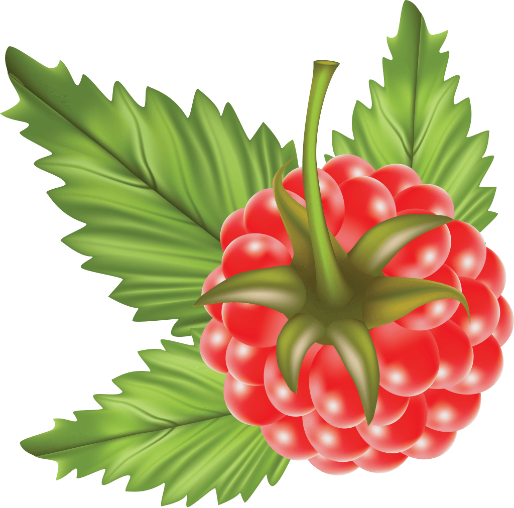 Rraspberry Png Image PNG Image