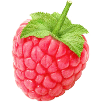 Rraspberry Png Image PNG Image