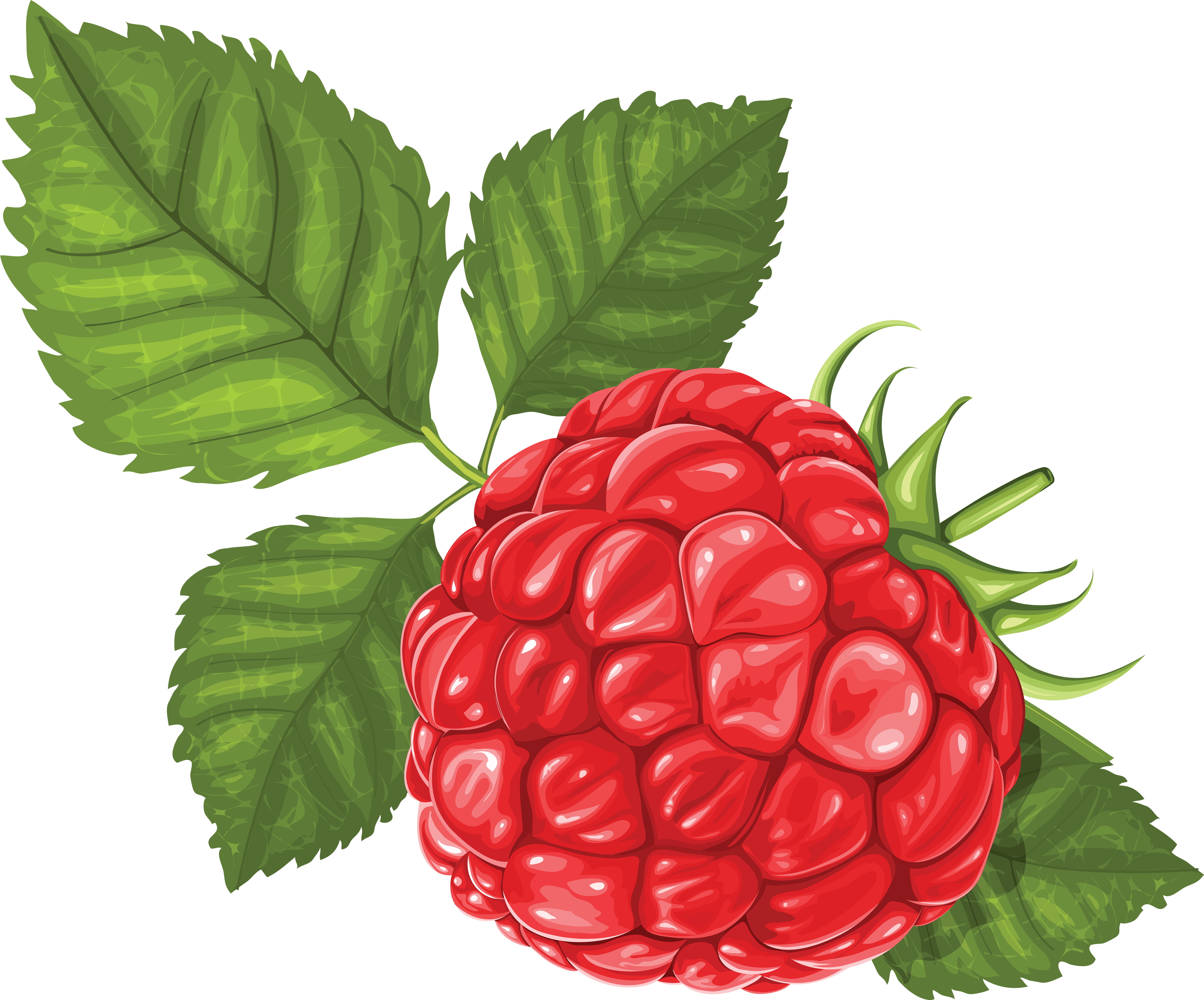 Rraspberry Png Image PNG Image