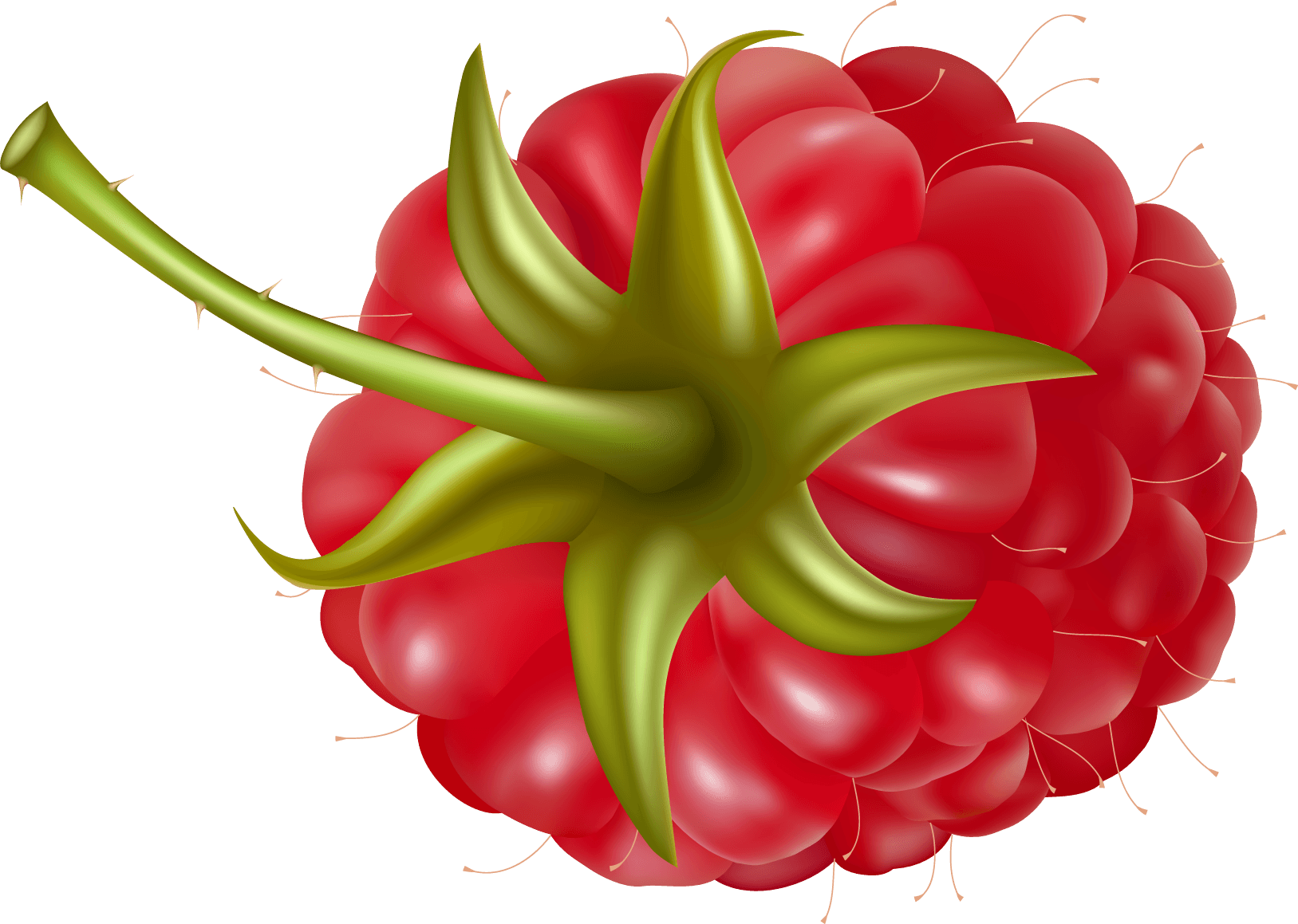 Rraspberry Png Image PNG Image