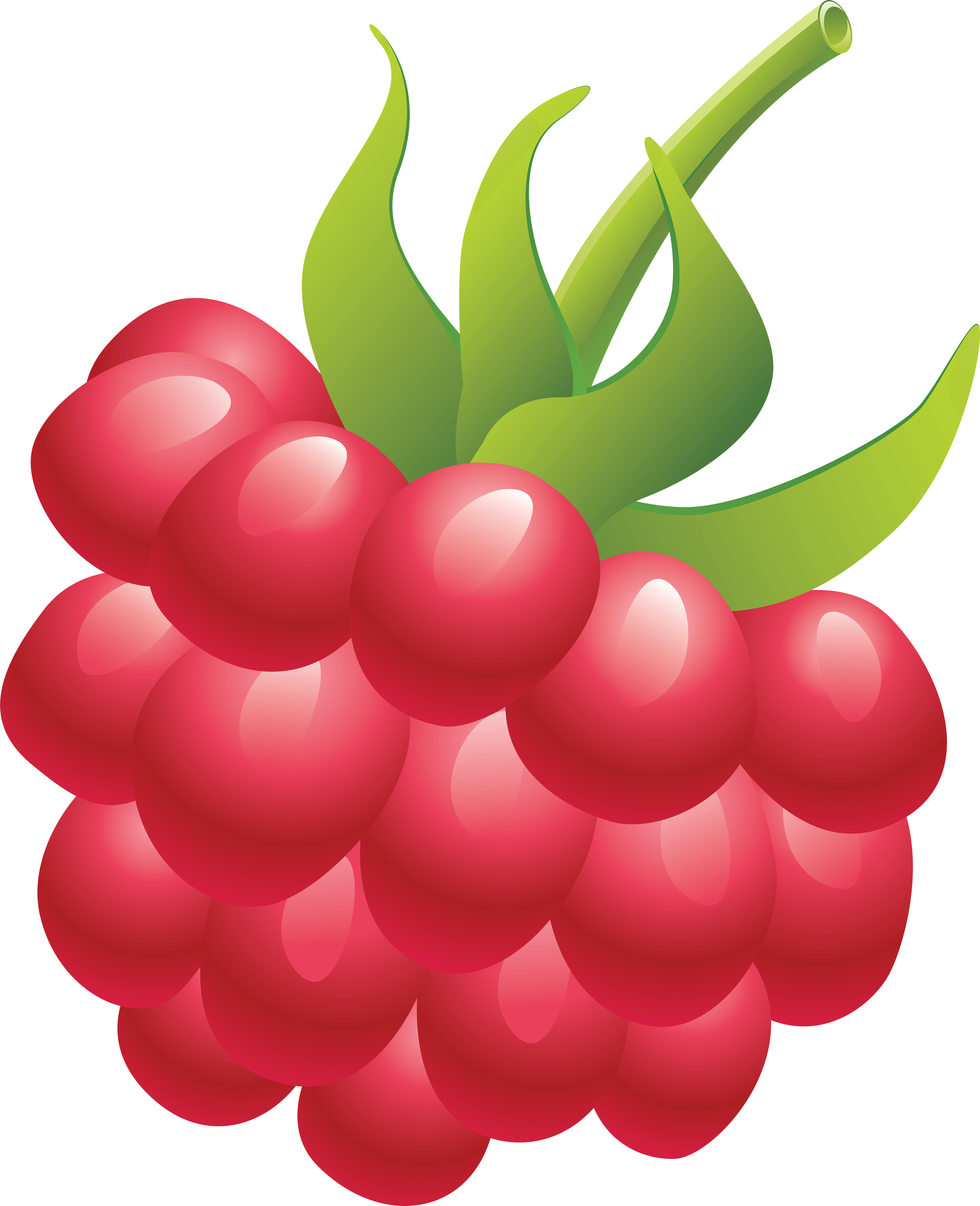 Rraspberry Png Image PNG Image