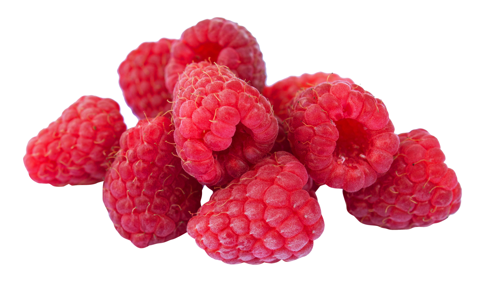 Raspberry Clipart PNG Image
