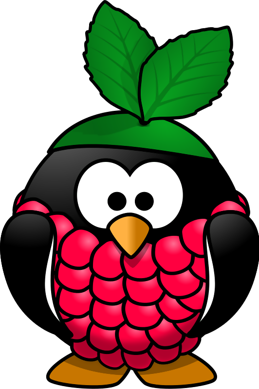 Raspberry Icons Computer Linux Party Pi Arch PNG Image
