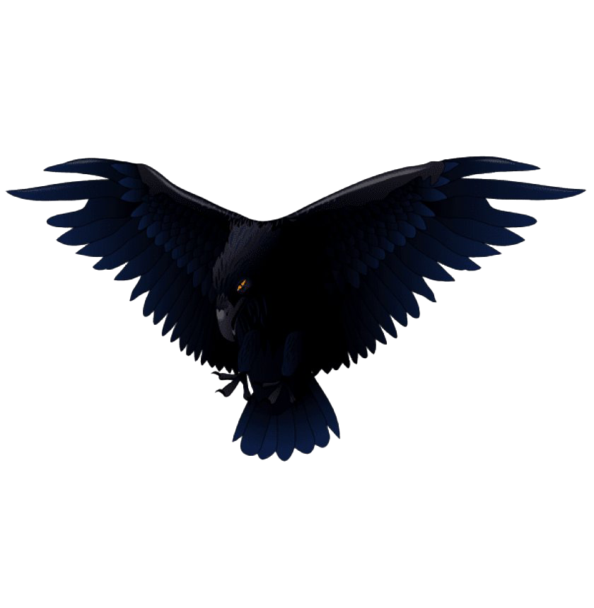 Bird Raven Free Transparent Image HQ PNG Image