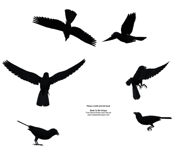 Raven Bird File PNG Image