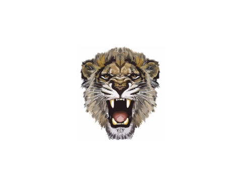 Lioness Roar Photos PNG Image