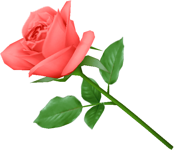 Pink Rose Png Image Picture Download PNG Image
