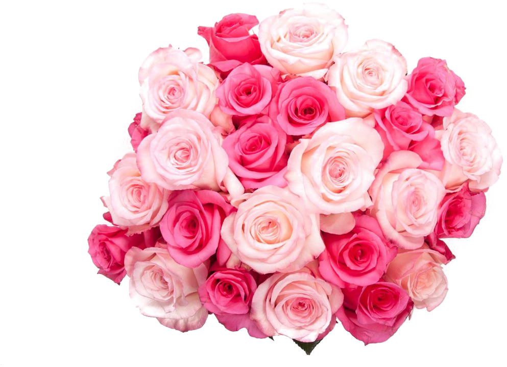 Pink Rose Flower Bunch Free HD Image PNG Image