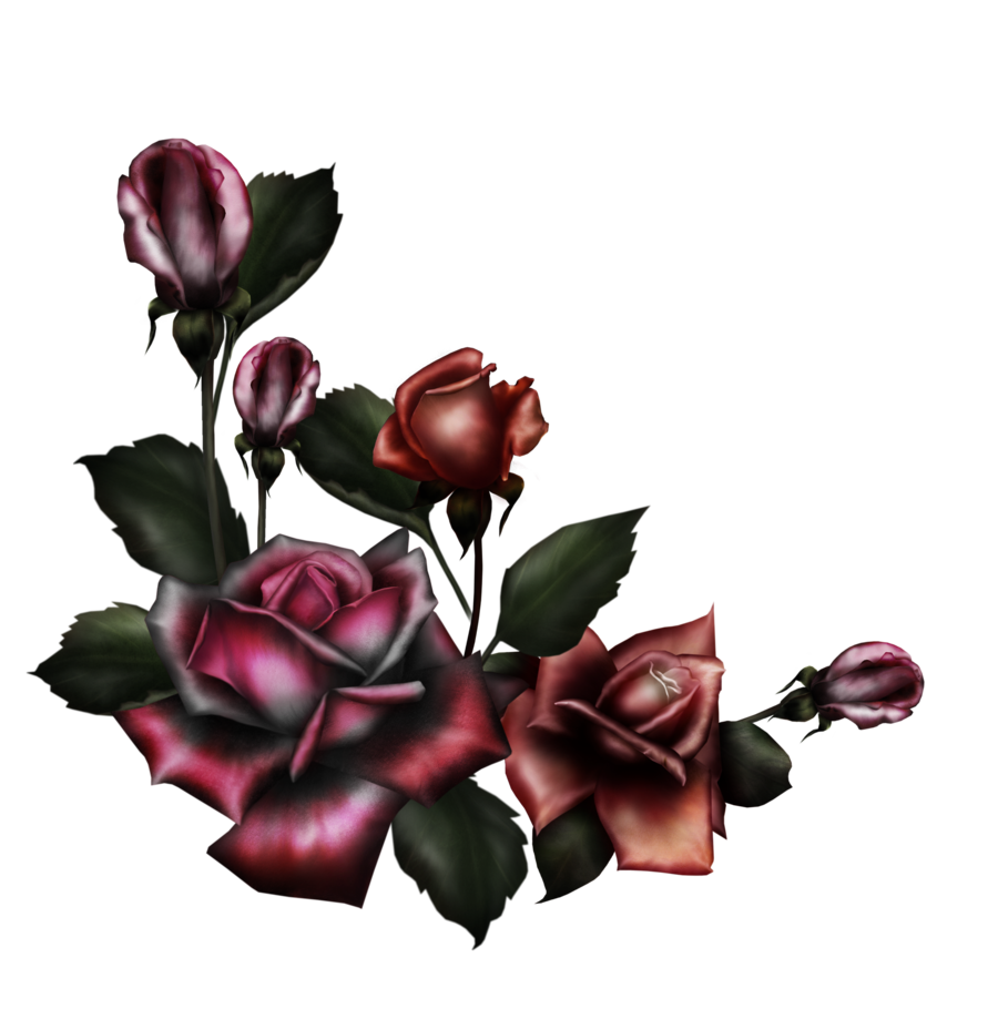 Gothic Rose PNG Image