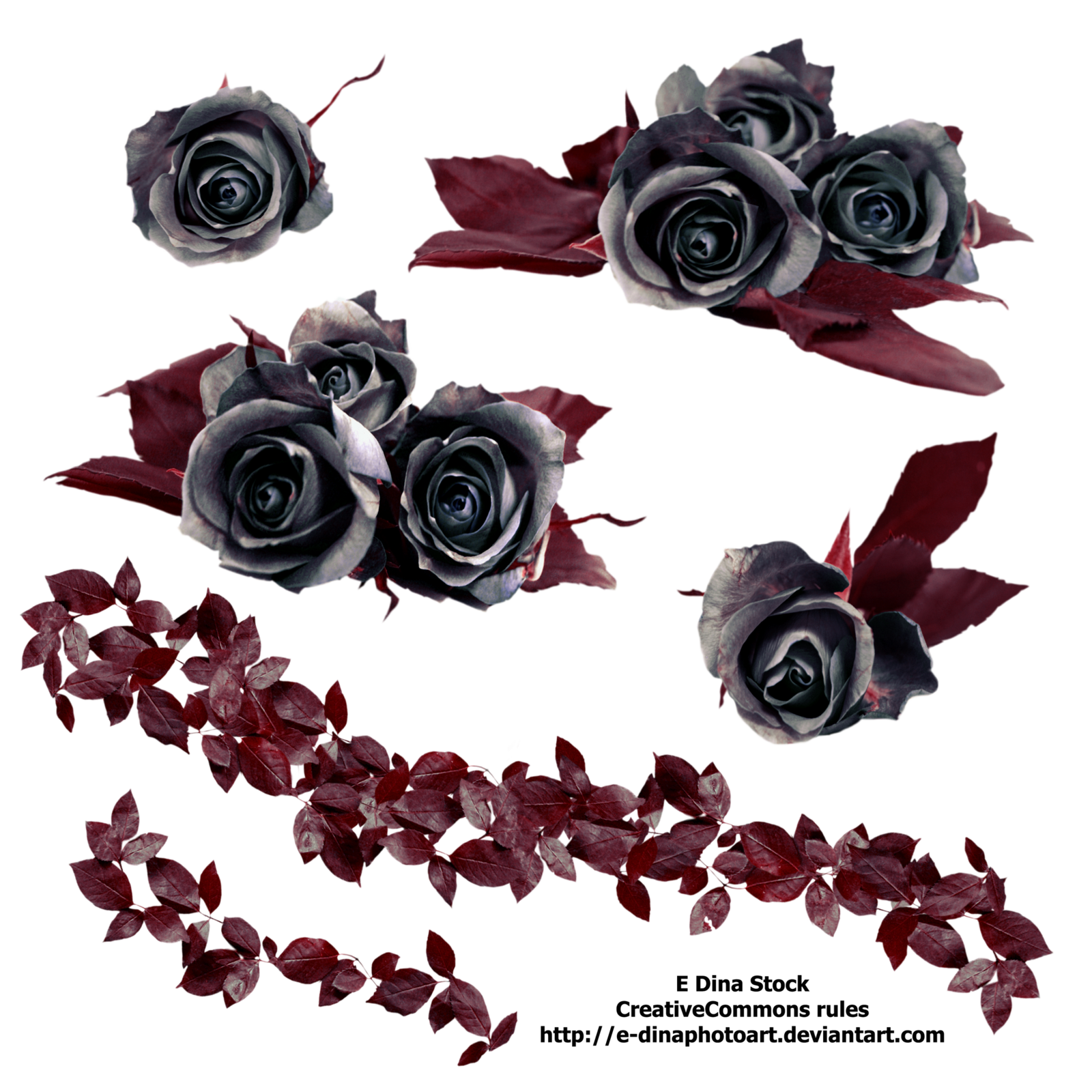 Gothic Rose Free Download PNG Image
