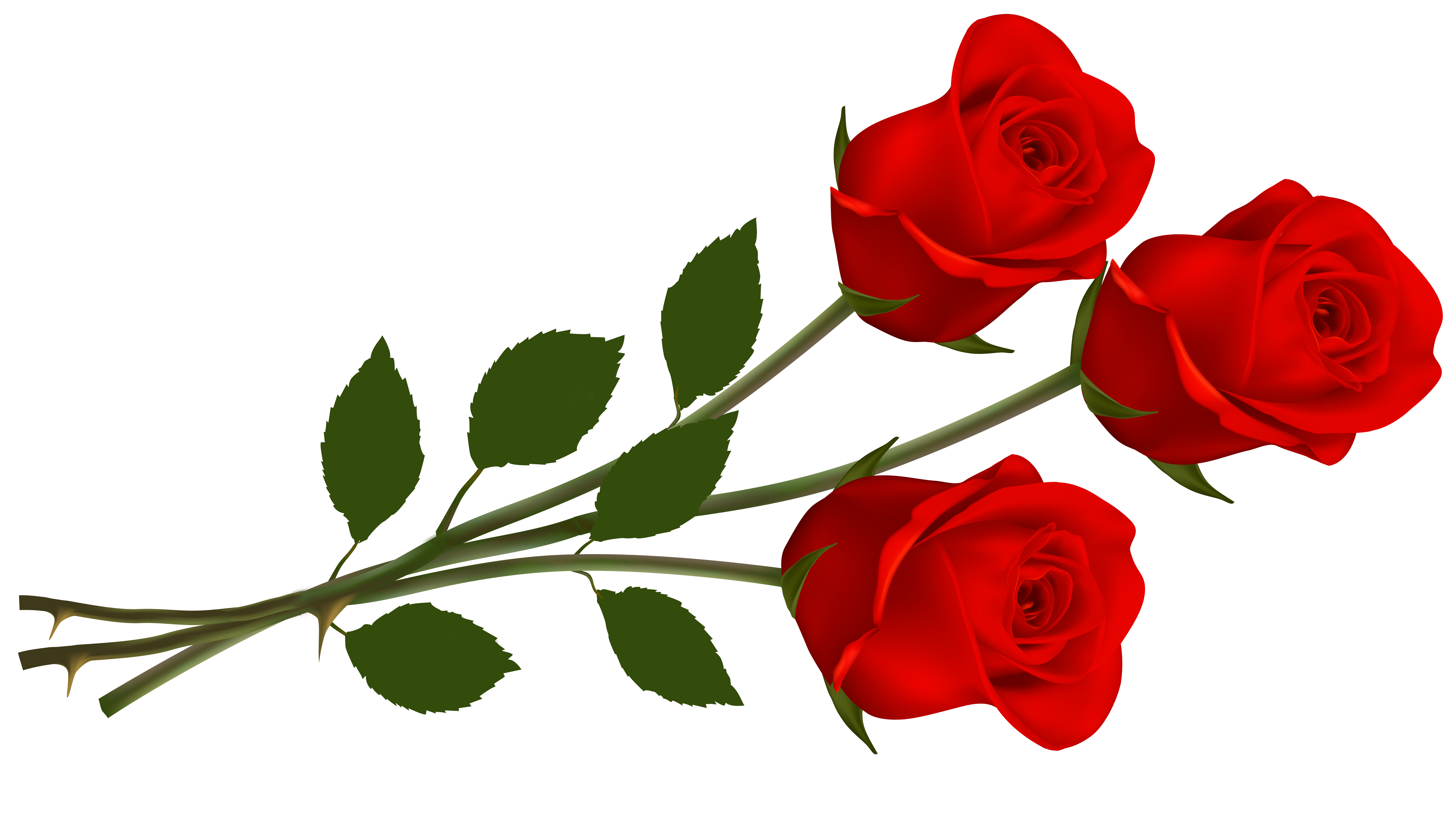 Rose File PNG Image