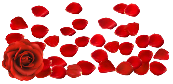 Rose Petals PNG Image