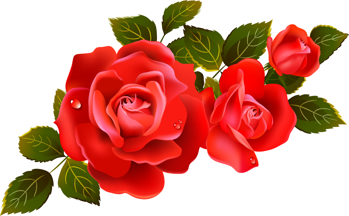 Rose Bunch Transparent Image PNG Image