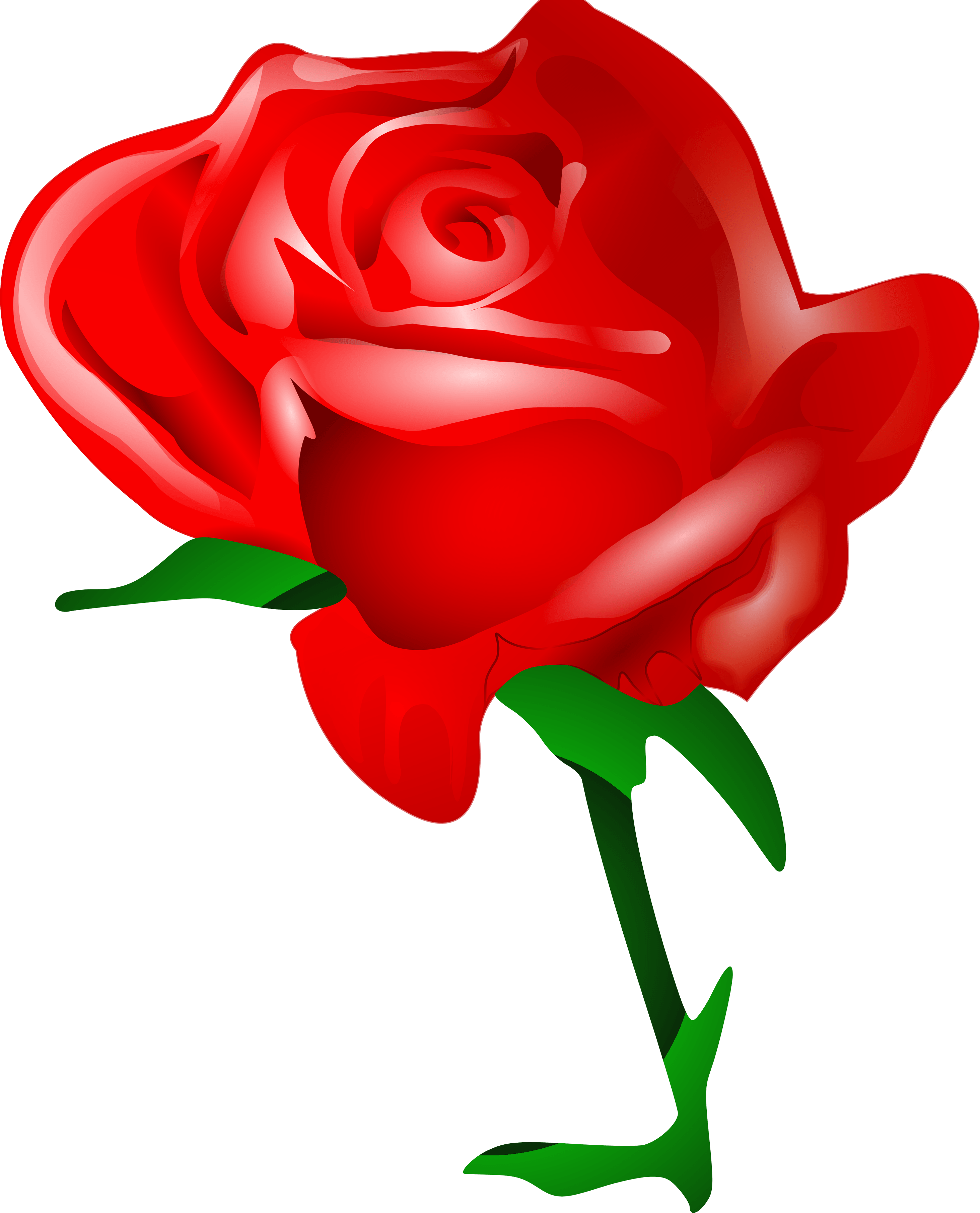 Rose Png Image Picture Download PNG Image