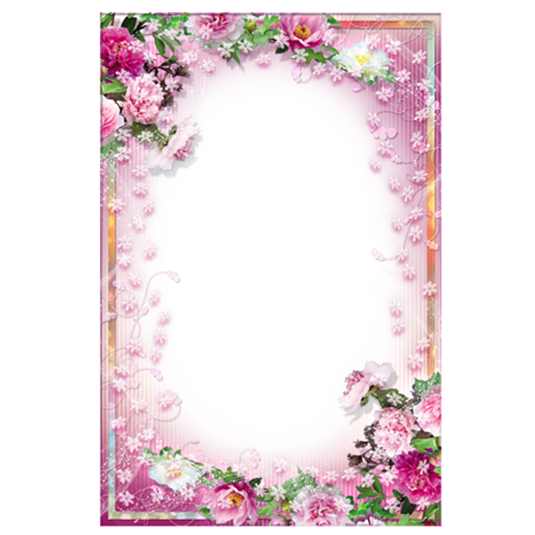 Pink Picture Frame Application Warm Floral Flowers PNG Image