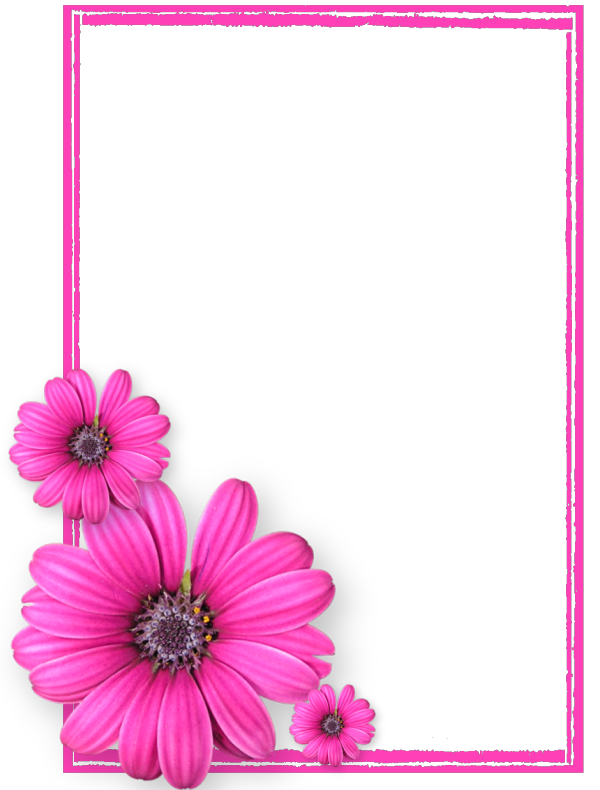 Pink Picture Flower Frame Photos8 Flowers PNG Image