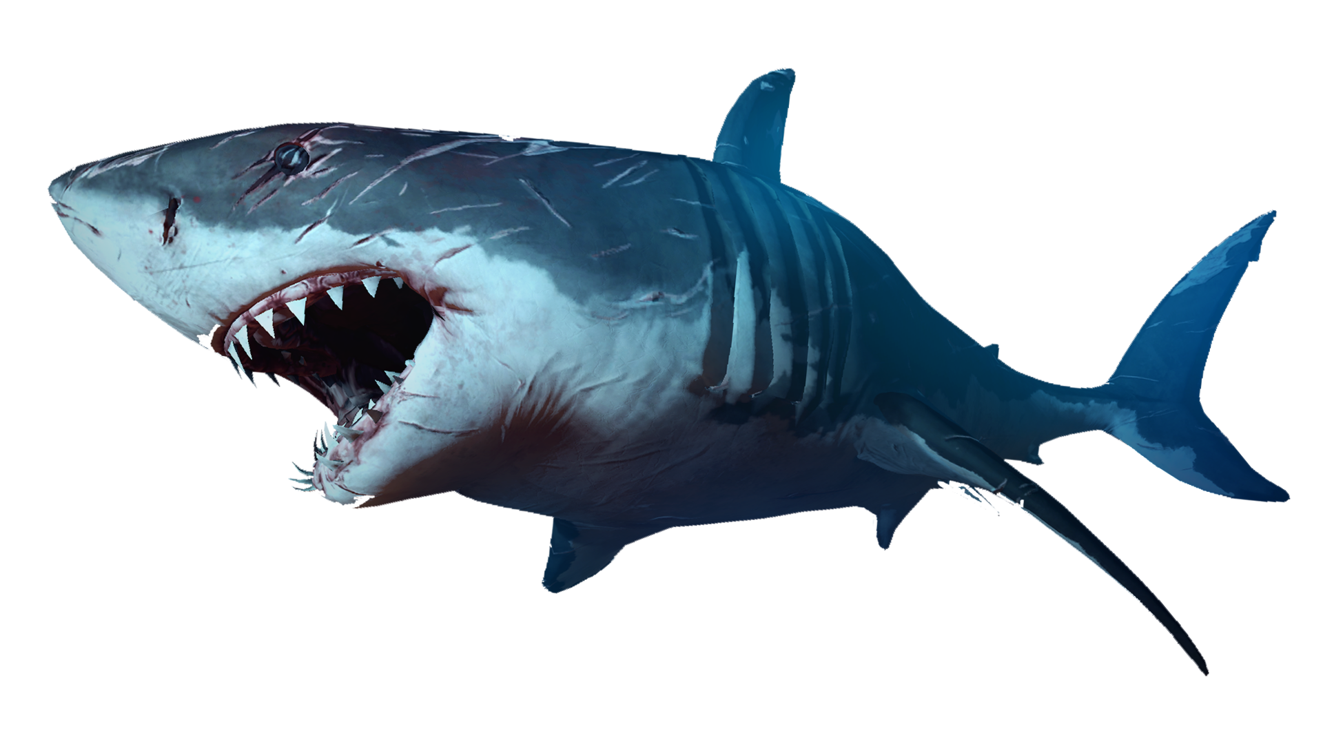 Blue Megalodon Shark Download HD PNG Image