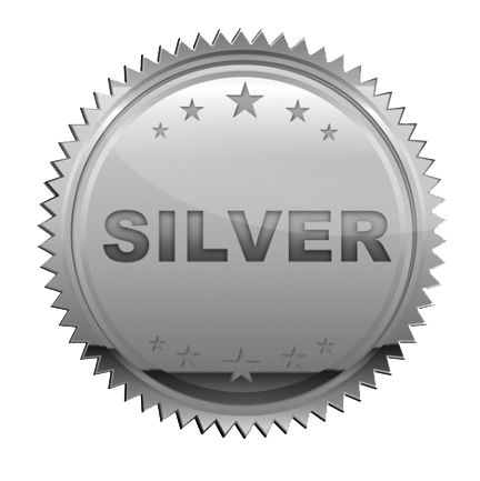 Silver Transparent PNG Image