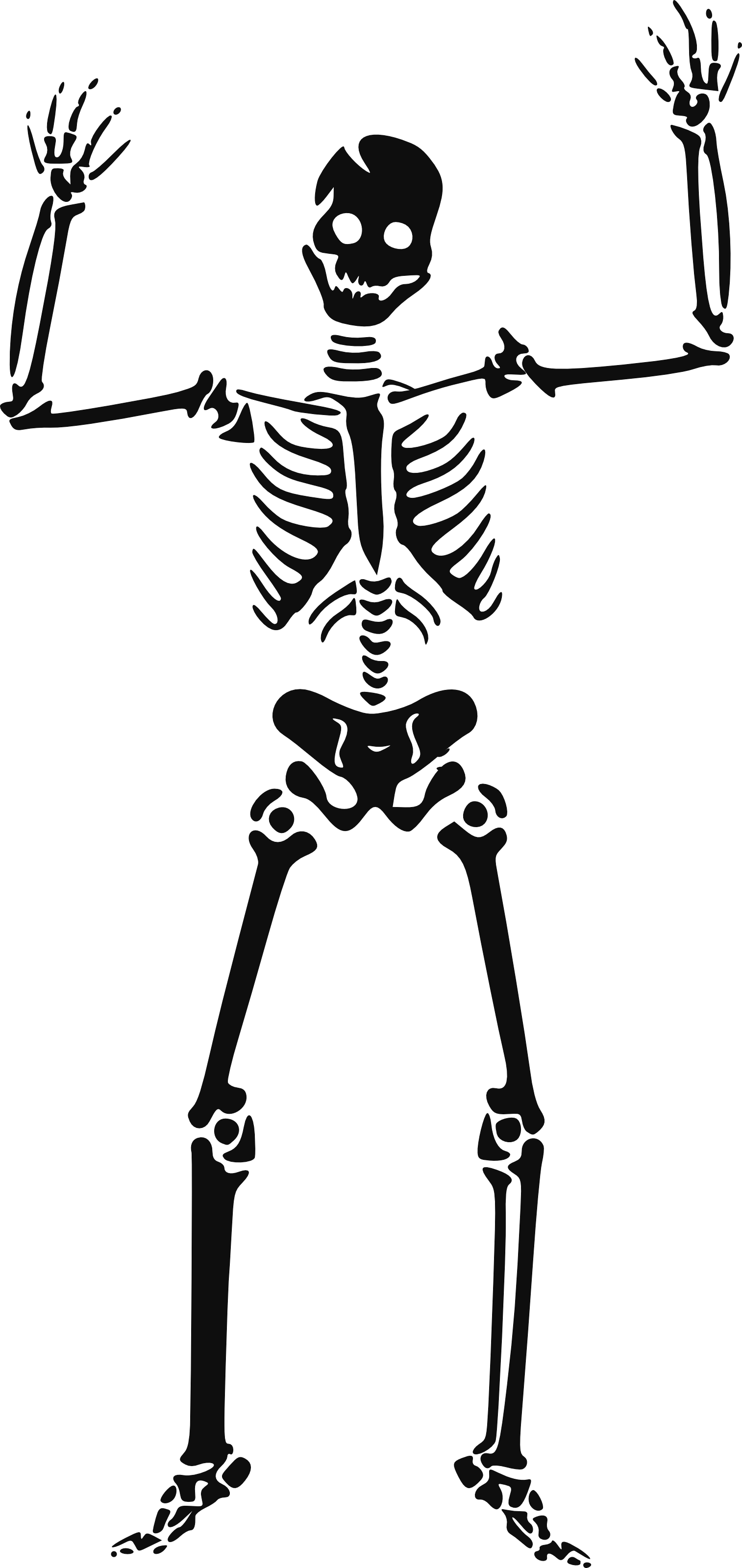 Skeleton Siluet Png Image PNG Image