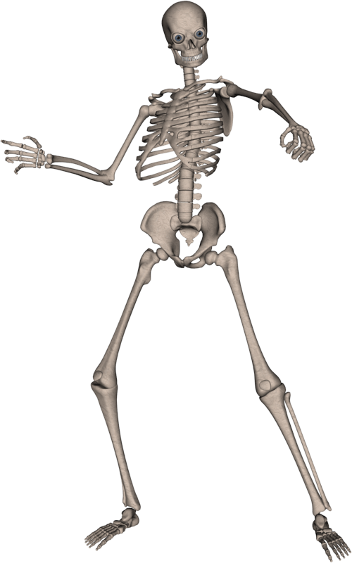 Skeleton Png Image PNG Image