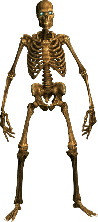 Skeleton Png Image PNG Image