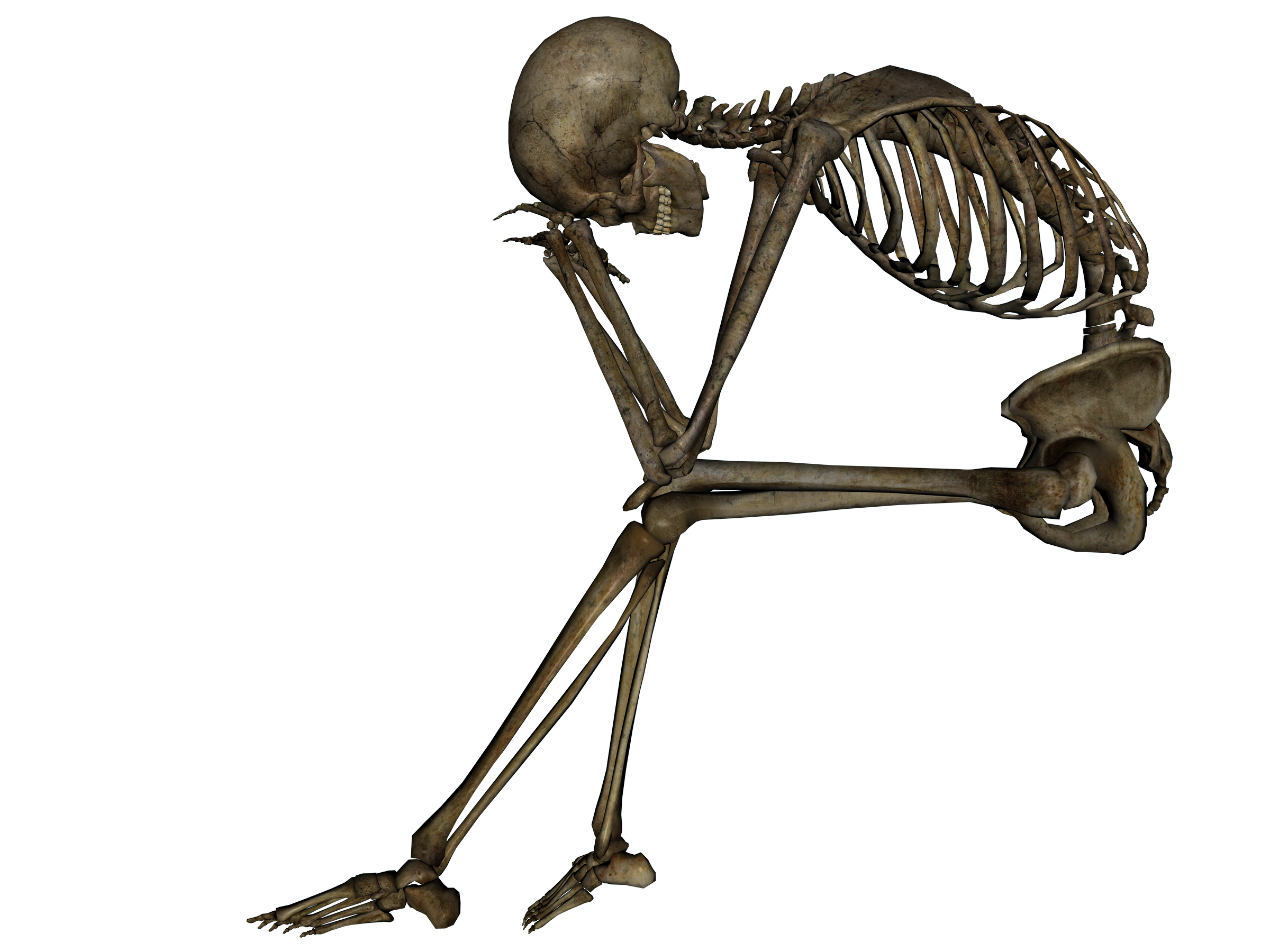 Skeleton Png Picture PNG Image