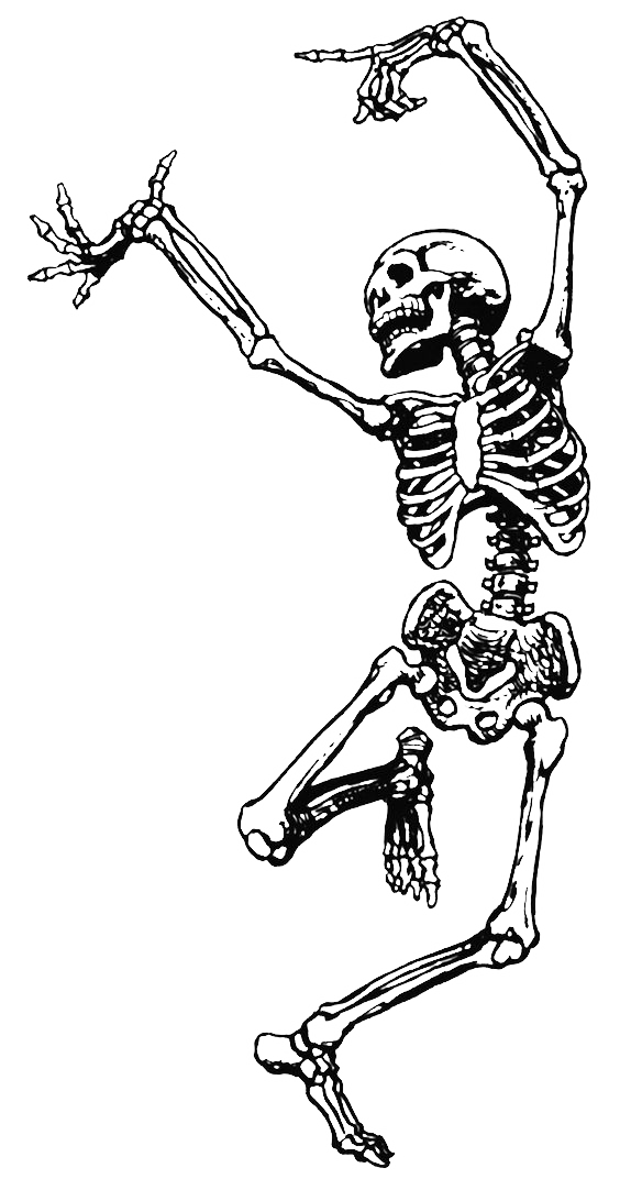 Dance Skeleton Human Skull Free PNG HQ PNG Image