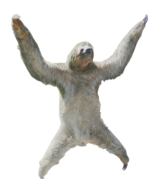 Sloth Png PNG Image