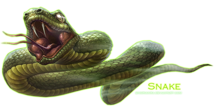 Snake Png Clipart PNG Image