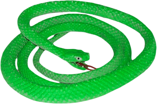 Green Snake Image PNG Image
