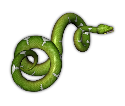 Green Snake Transparent Background PNG Image
