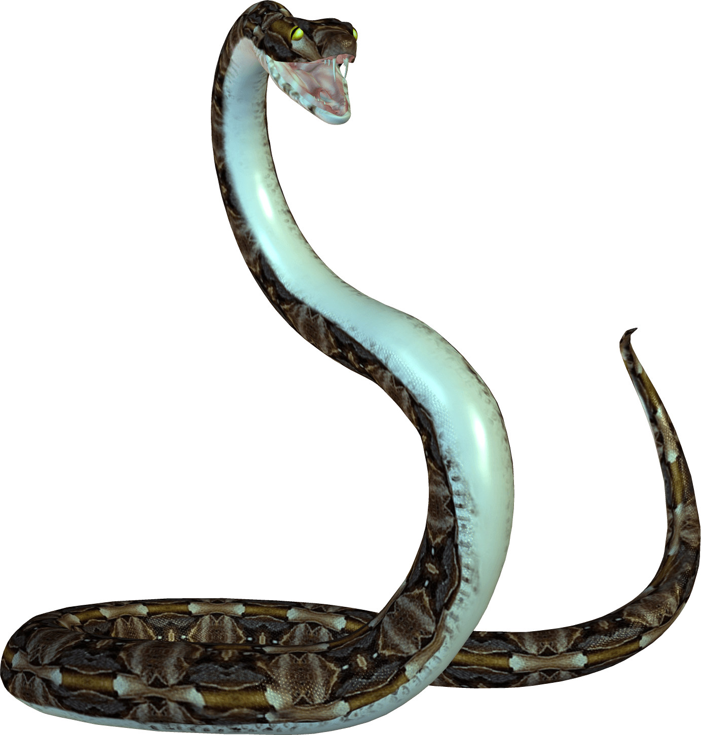Snake Png Image Picture Download PNG Image