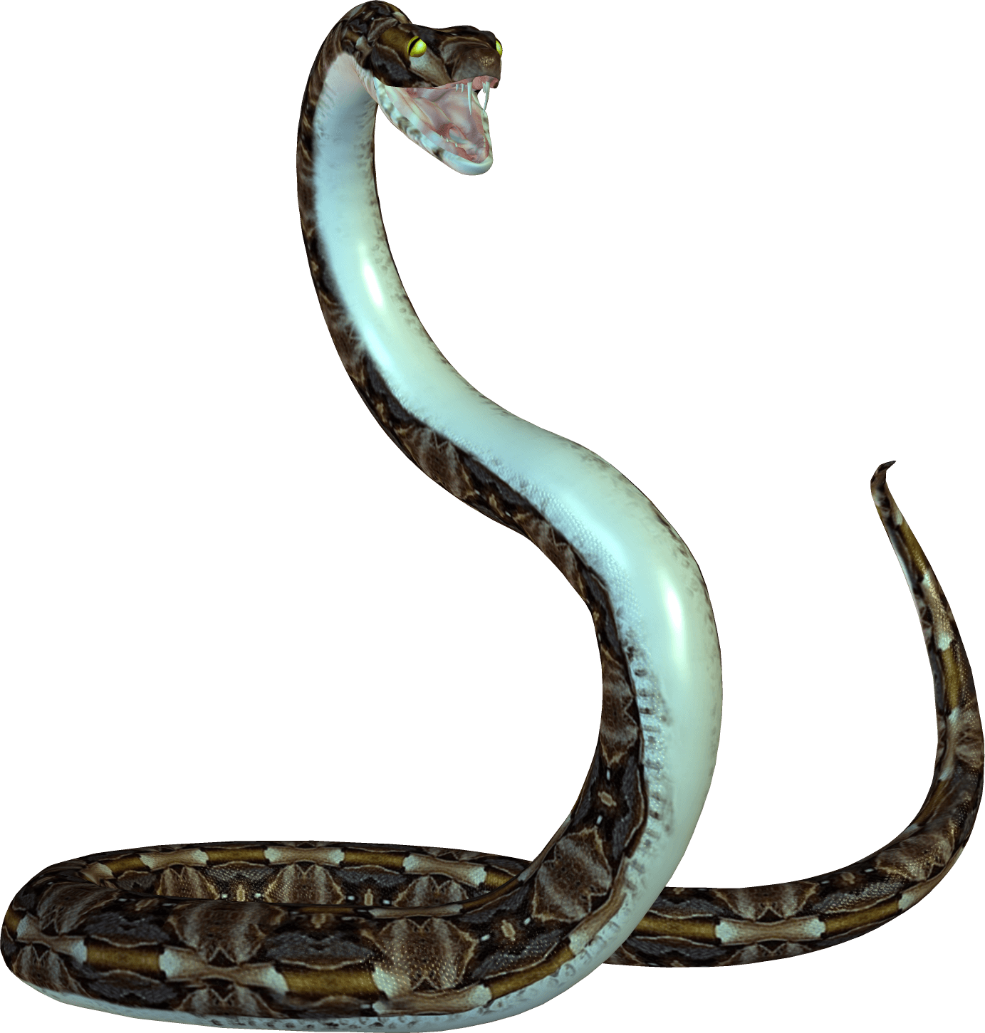 Snake Png Image Picture Download  PNG Image