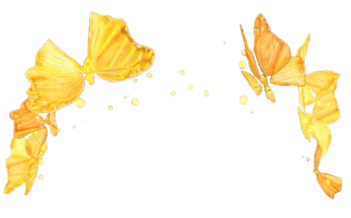 Download Download Snapchat Flower Crown Transparent HQ PNG Image ...