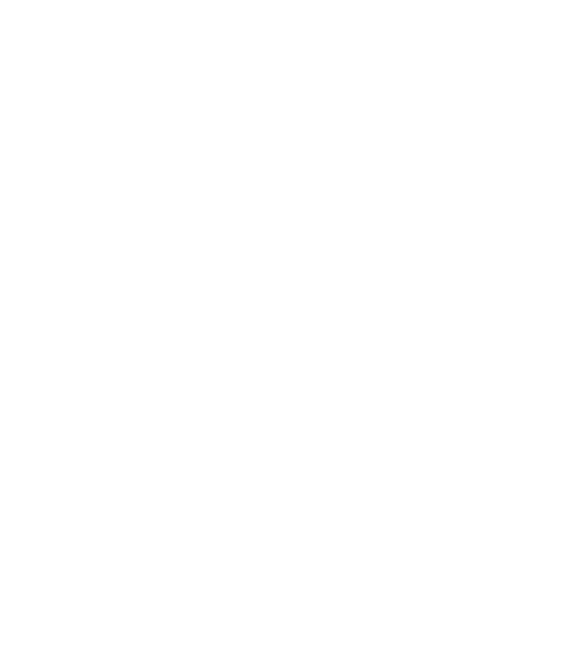 White Snowflake Png Image PNG Image