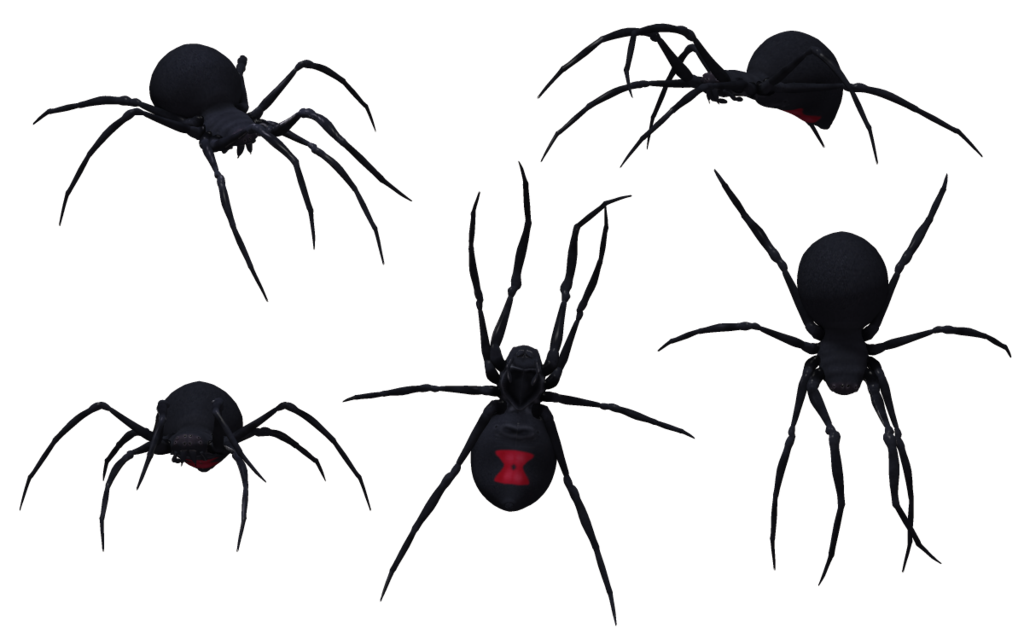 Black Widow Spider PNG Image