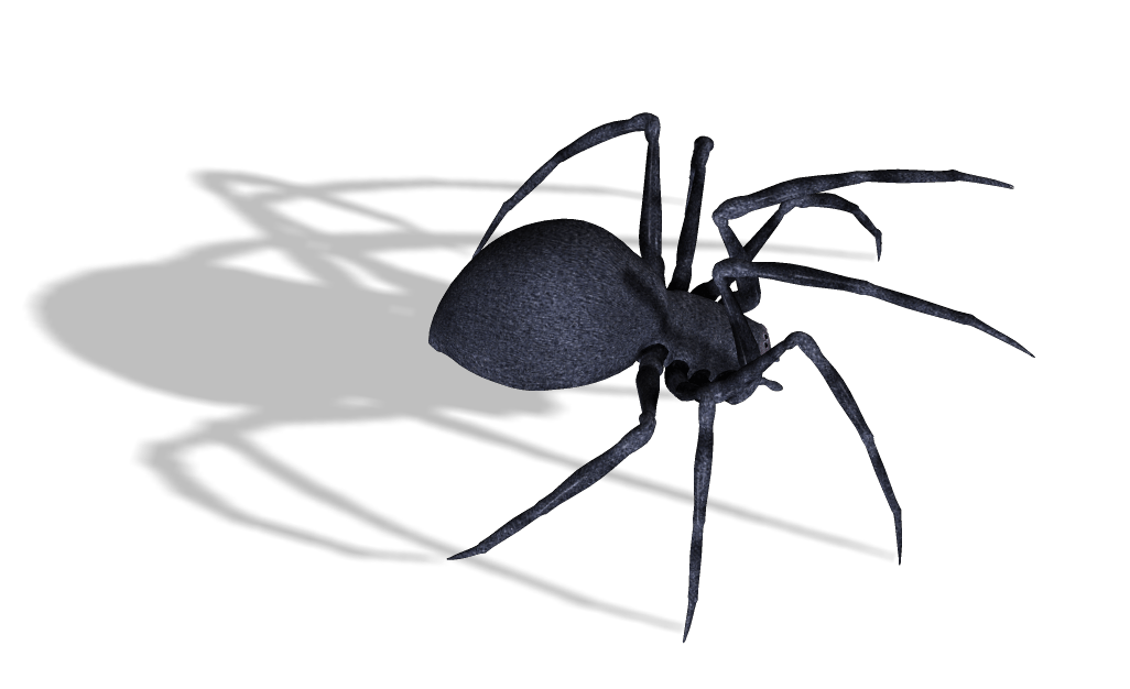 Black Widow Spider Png Image PNG Image