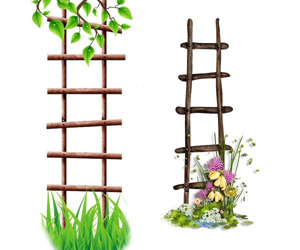 Ladder Flower Frame Albom Icon Free Download Image PNG Image