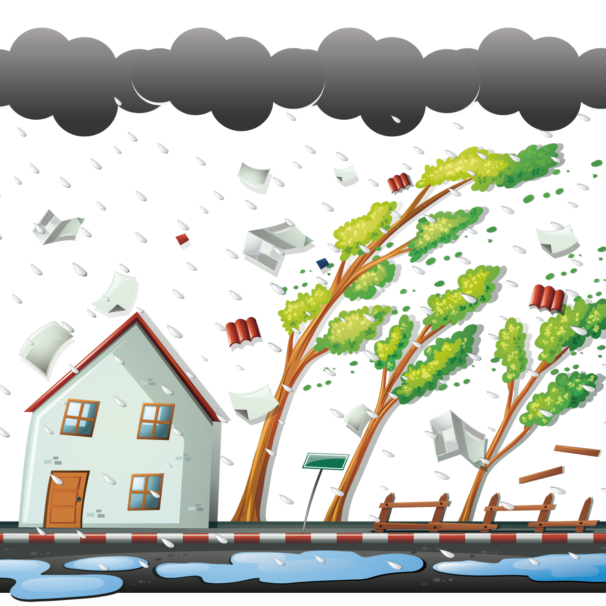 Rain Tree Art Wind Storm Free Frame PNG Image
