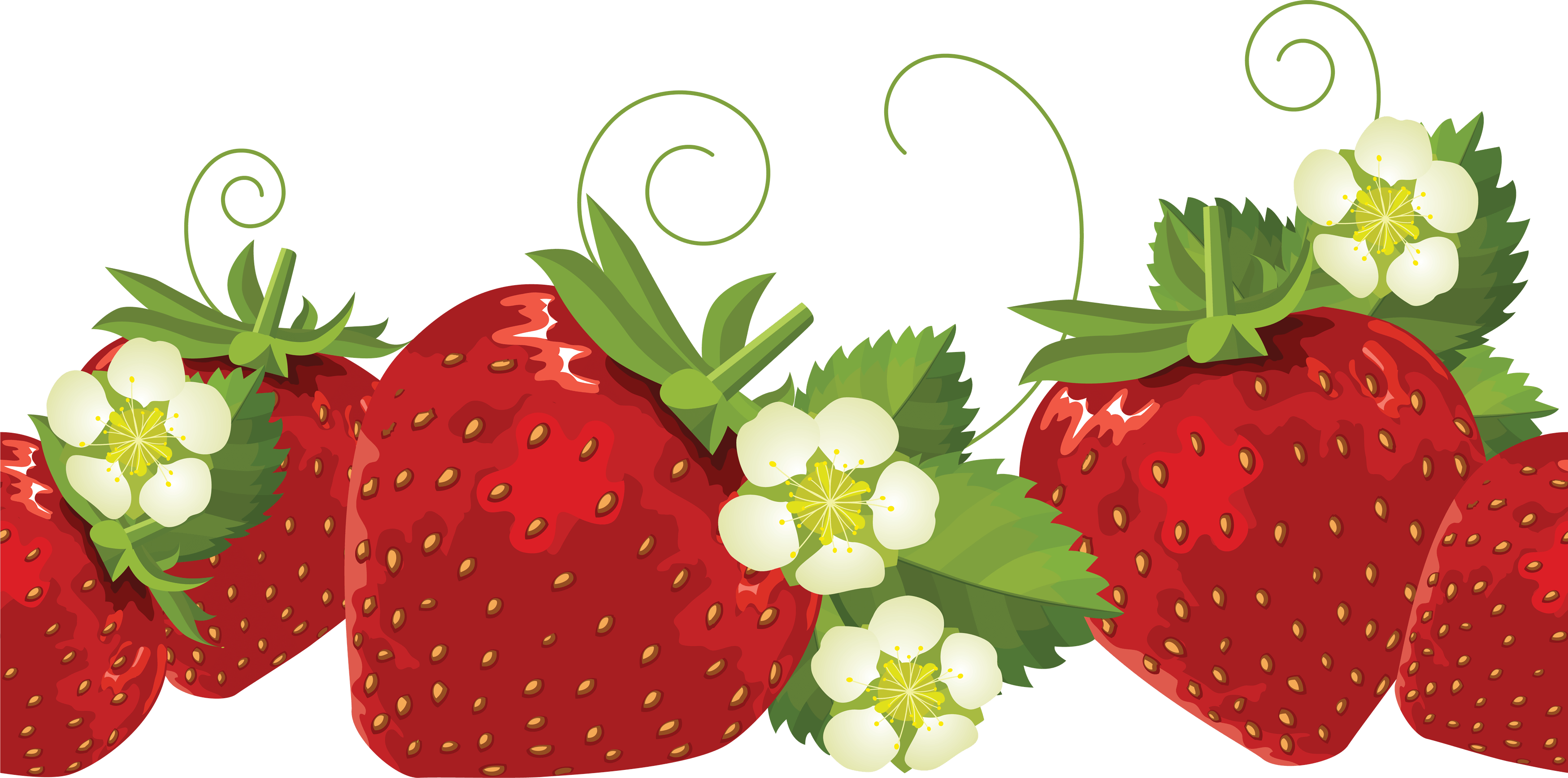 Strawberry Png Images PNG Image