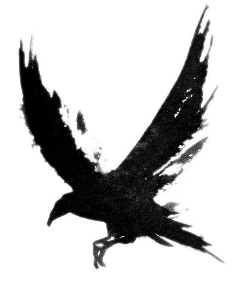 Tattoo Crow Flying Bird Common Drawing Raven PNG Image
