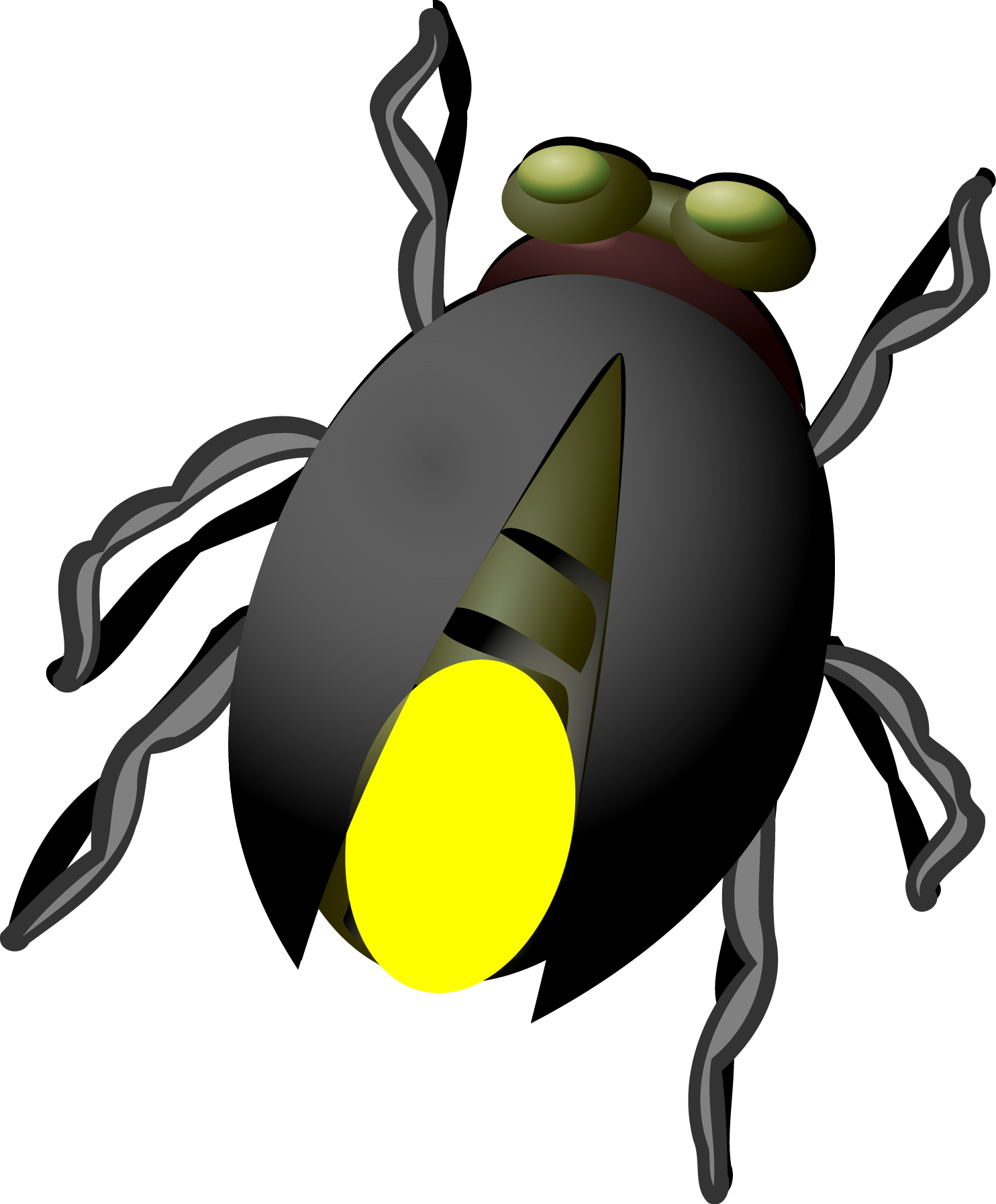 Firefly Ladybird Glowworm Fruit Free Clipart HD PNG Image