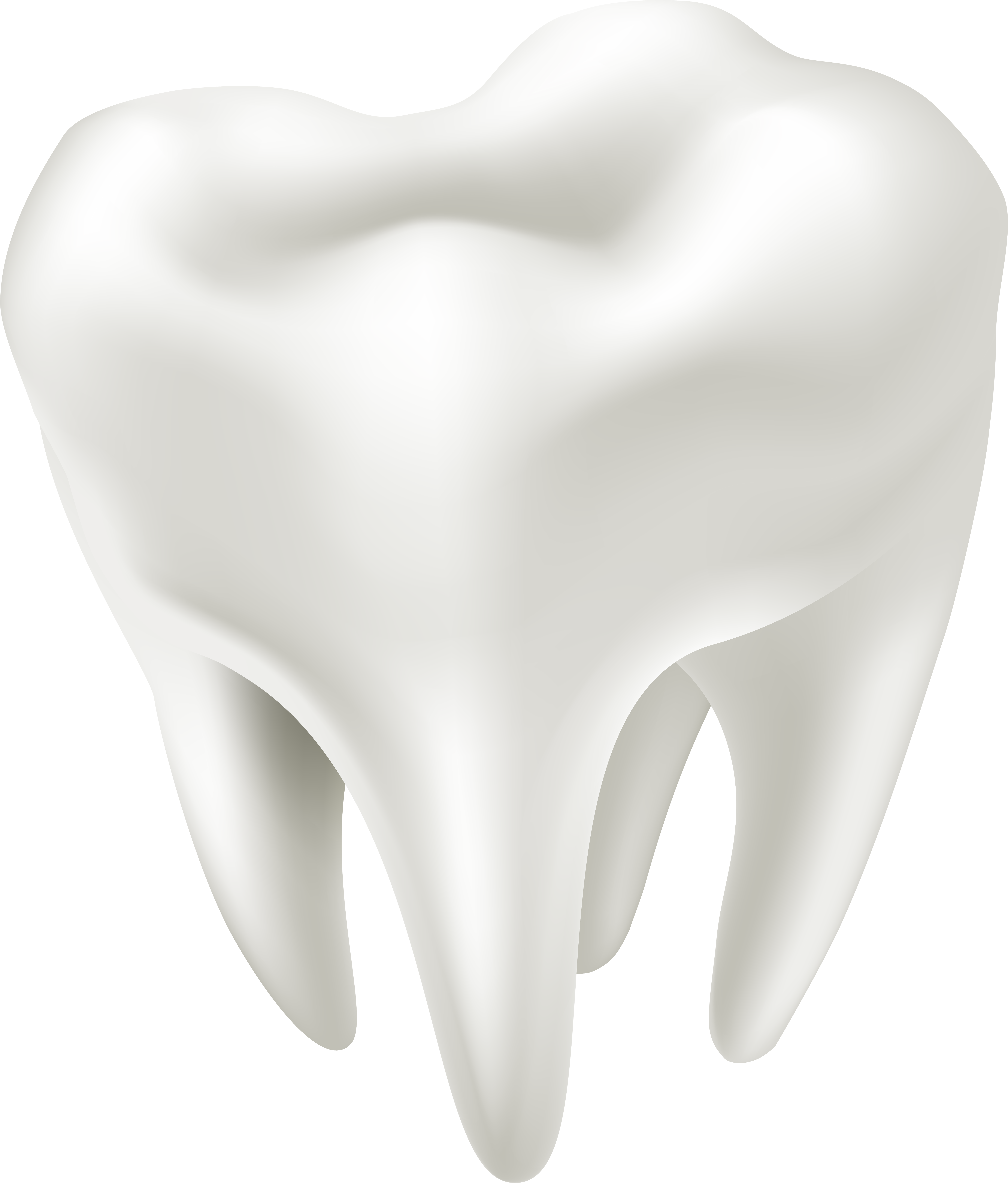 White Tooth Free PNG HQ PNG Image