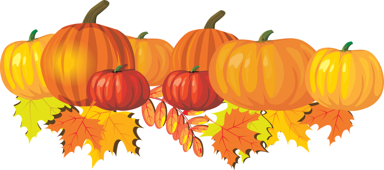 Thanksgiving Pumpkin Photos PNG Image