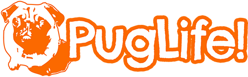 Pug Life Hd PNG Image