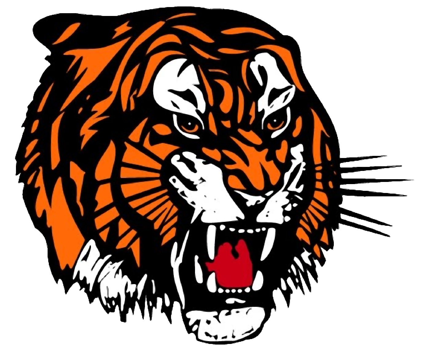 Tiger Face Transparent Image PNG Image